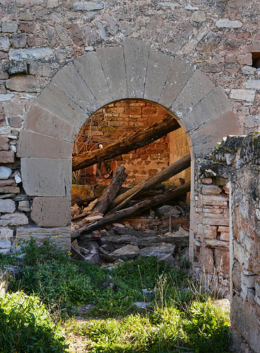 _DSC4550
