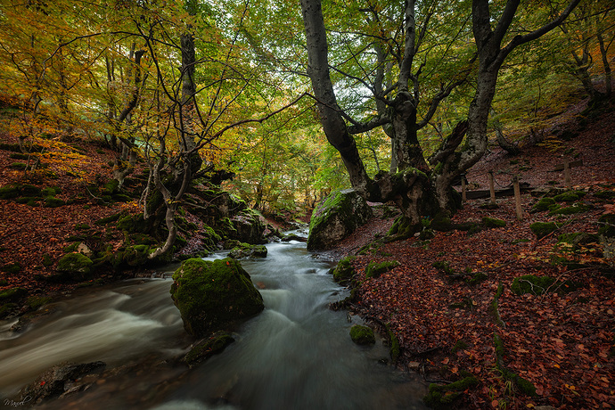 _DSC9606bbbbins