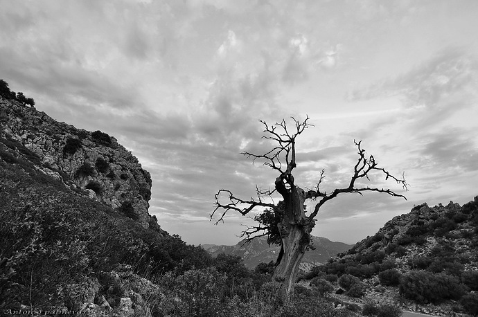 tristeza en la montaña