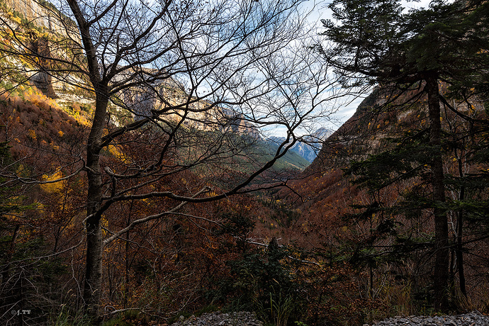 _DSC6304