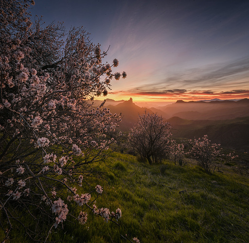 patriacanaria13-copia