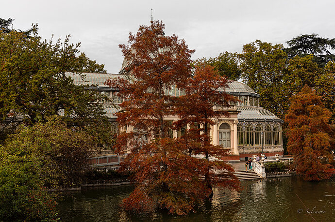Palacio de Cristal. Parque del Retiro. Madrid