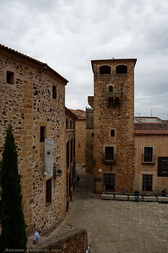 palacio de los golfines de abajo