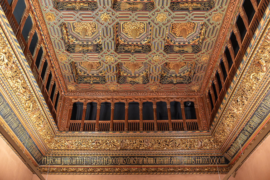 Techos de la Aljafería (Zaragoza)