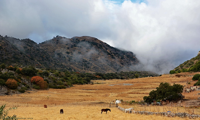 de caballos y nieblas