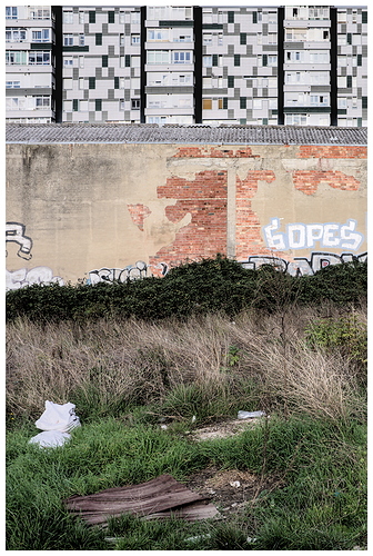 DSCF4458_02