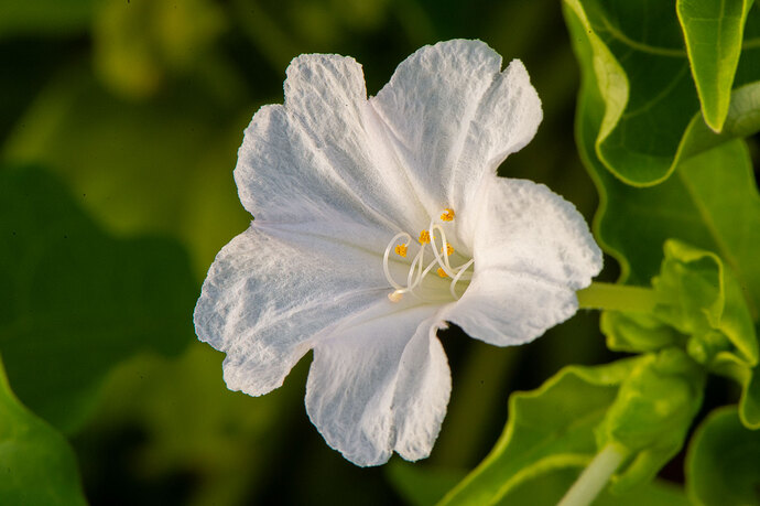 2024_DavidValls_20240910_ID49219-NIKON-D4-180mm-v1-60-f22.0-ISO1400