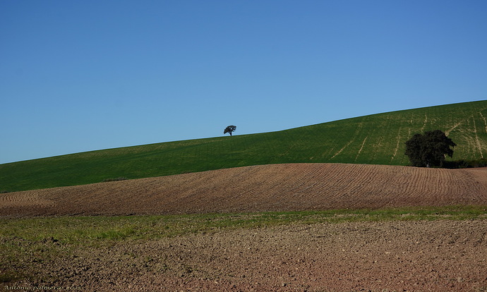 campiña