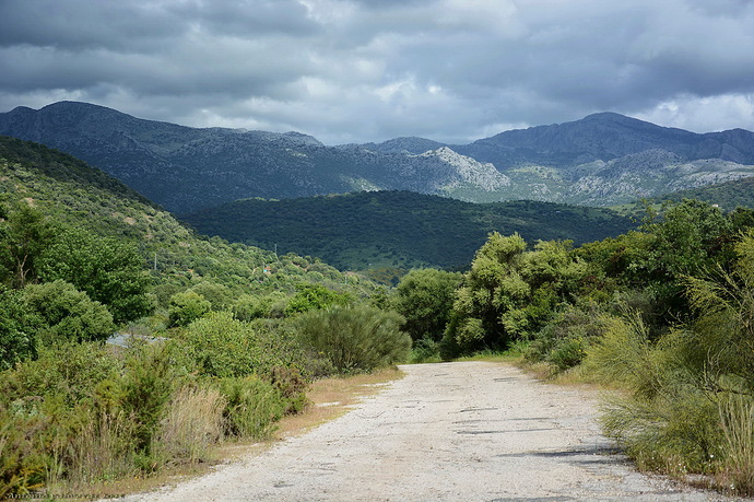 camino a la montaña 2