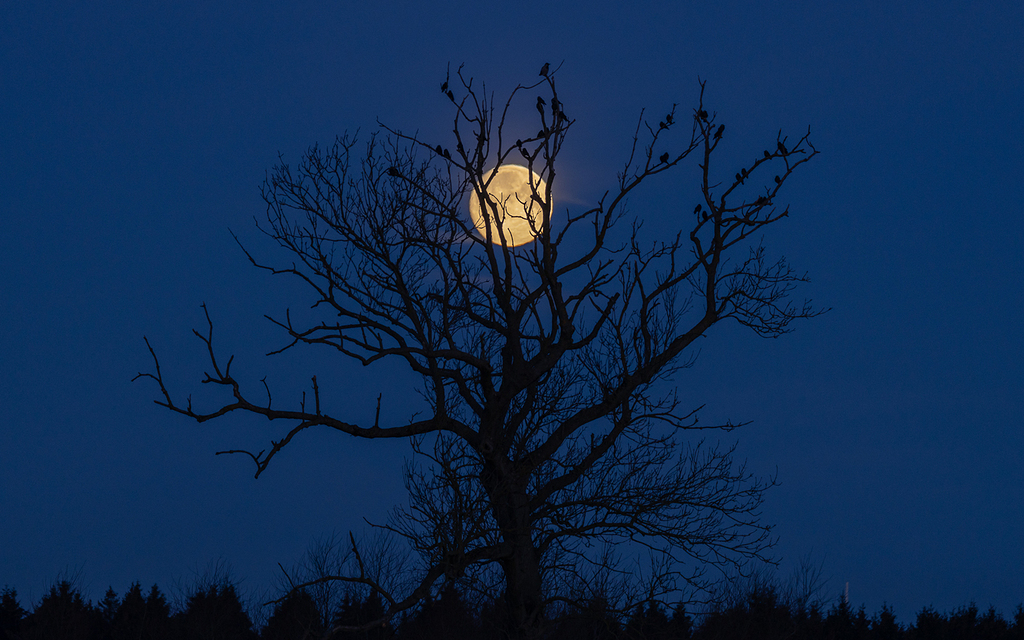 Objetivo: La Luna