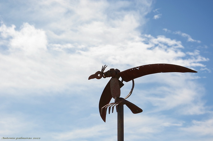 el pájaro del huerto