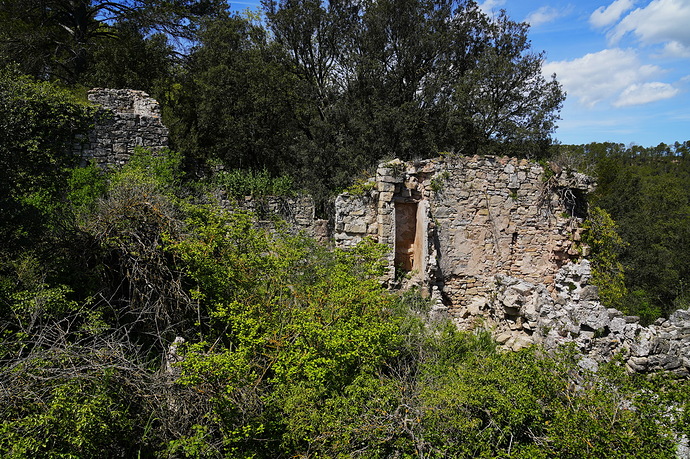 _DSC5655_redimensionar