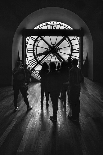 51749475268_cc716d4a5b_b