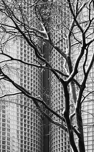 1400web_IMG_0066a_bn