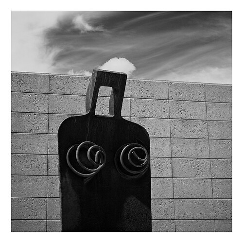 50302974816_6774ea1b48_b