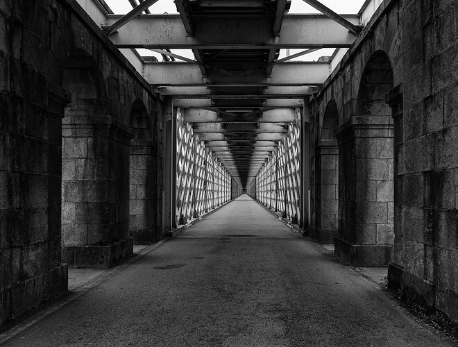 55158753758_86538b8cad_h