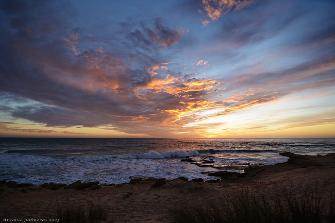 Volando hacia el oeste