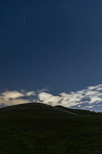 PerseidaSolitaria