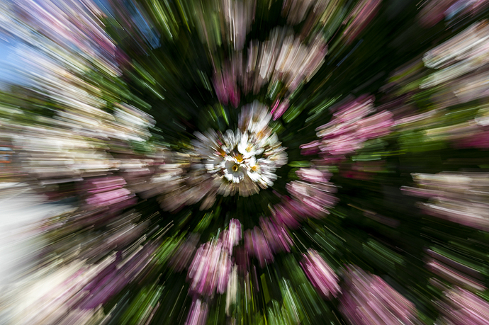 Efecto Zooming_