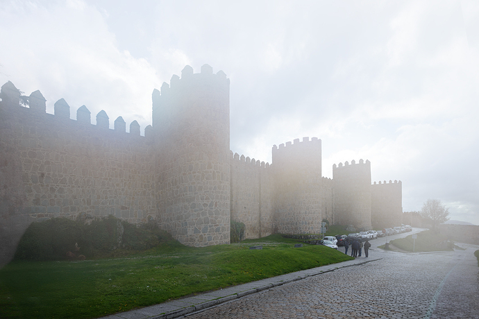 _DSC5131-niebla