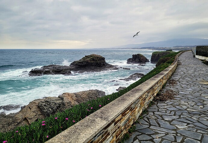 Bordeando el Mar OD