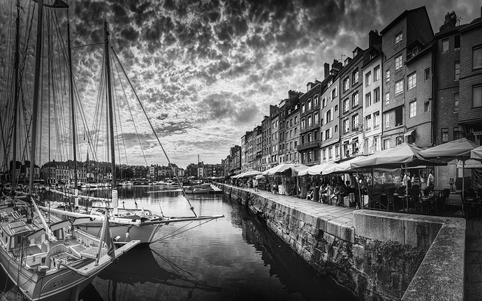 _MG_2978 (3)