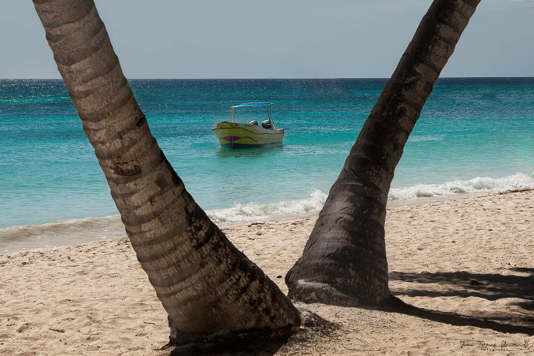 Punta Cana - Barca y dos palmeras-2014