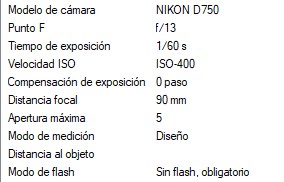 Captura de pantalla 2024-11-02 162816
