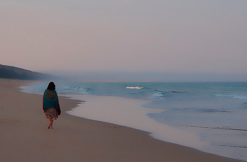 29249760113_429acdd27e_c