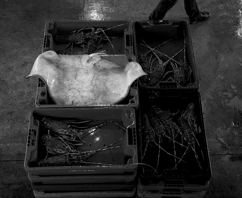 En la lonja de Calpe