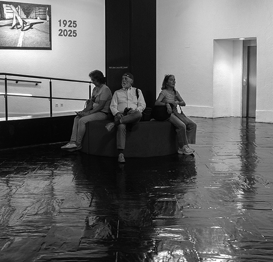 Fotos de una exposicion (100 años de Leika)